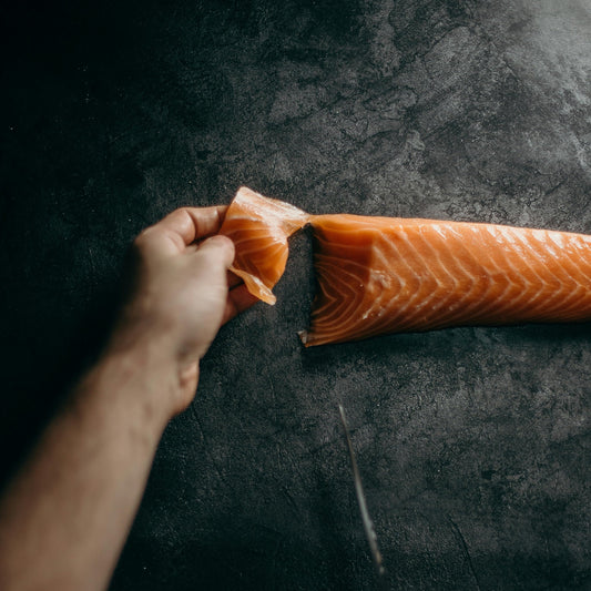 Omega-3s for Dogs: The Essential Fatty Acid for Brain Performance