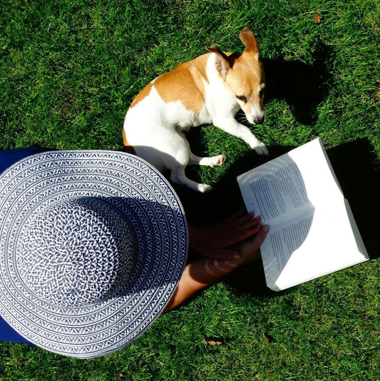 Mid‑Life Shift: Supporting Your Dog’s Brain from Adult to Senior