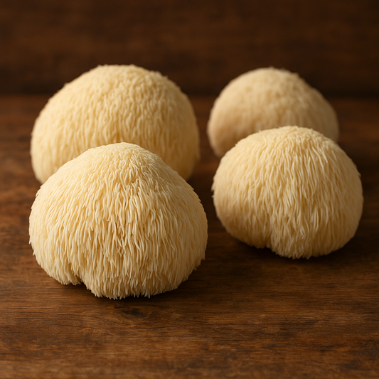 Lion’s Mane Mushrooms for Dogs: Nature’s Brain Booster?