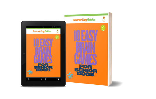 10 Easy Brain Games for Senior Dogs