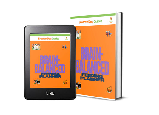 Brain-Balanced Feeding Planner