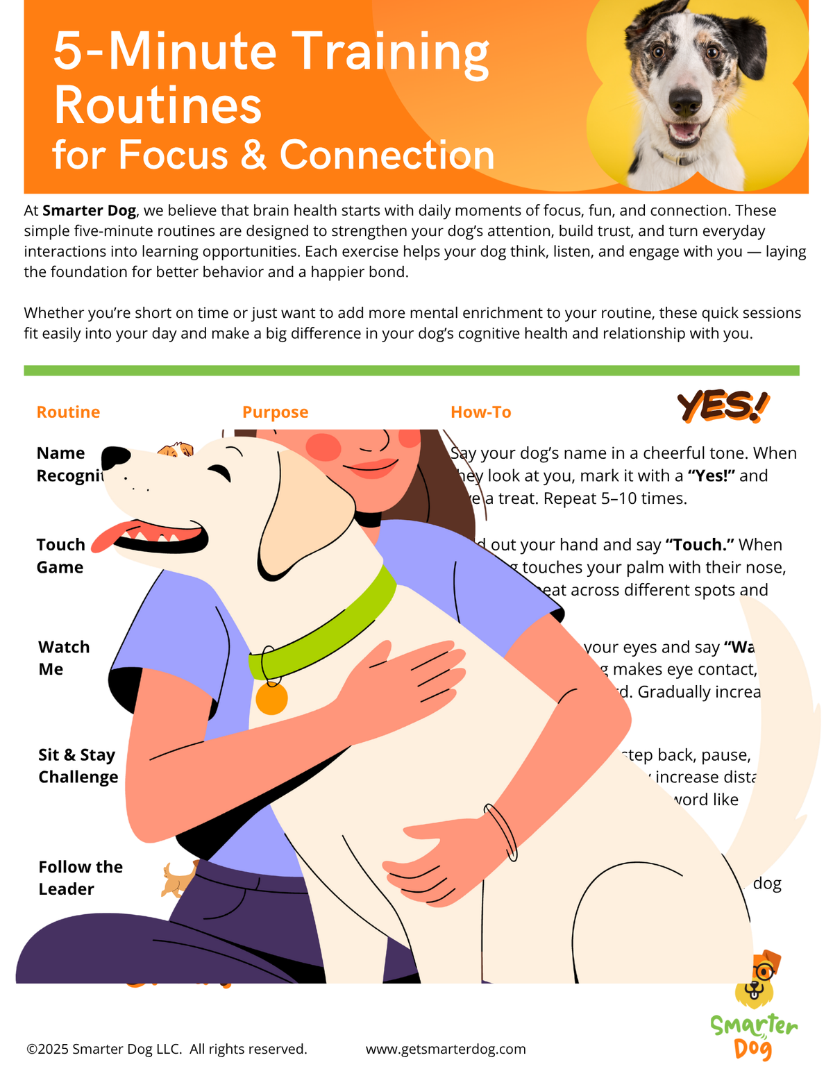 Connection Routine 5-Minute Training Routines for Focus and Connection – Get Smarter Dog