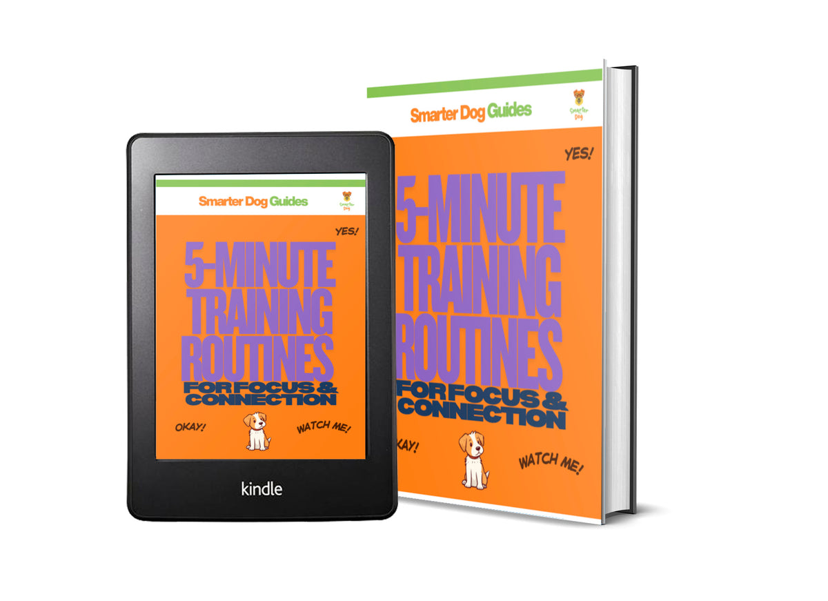 Connection Routine 5-Minute Training Routines for Focus and Connection – Get Smarter Dog