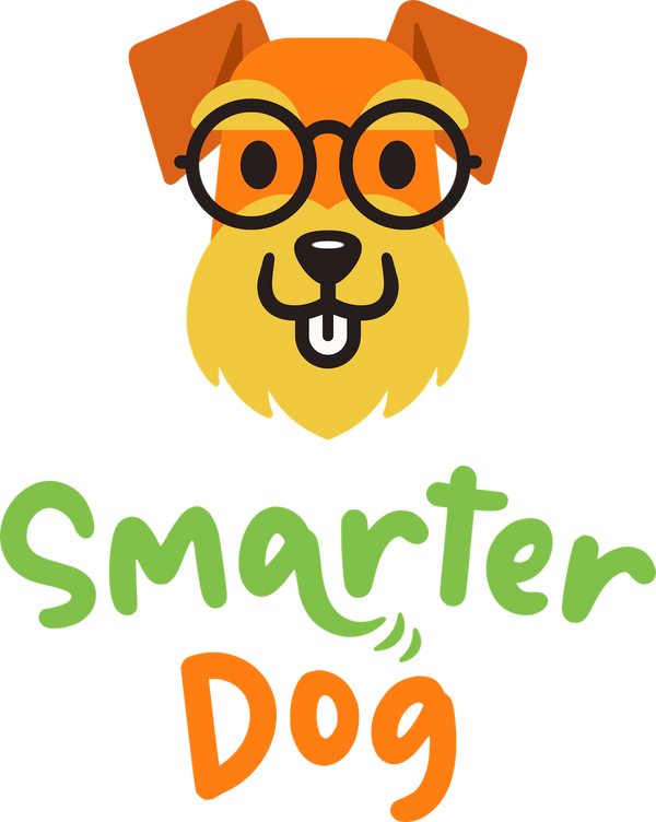 Get Smarter Dog